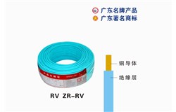 RV ZR-RV尊龙凯时人生就是搏!官网电缆